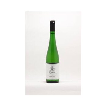 Bild von Kocijan Rheinriesling 2022